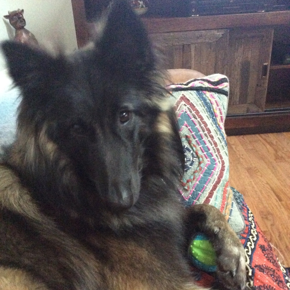 WELCOME TO MY CLOSET! I HOPE YOU ENJOY LOOKING!